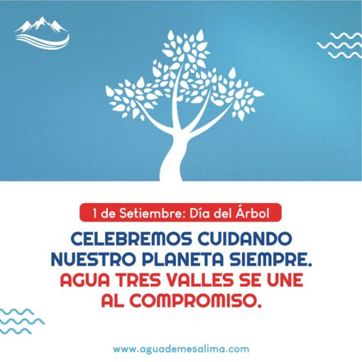 Celebrando el Día mundial del Árbol conservar el planeta.