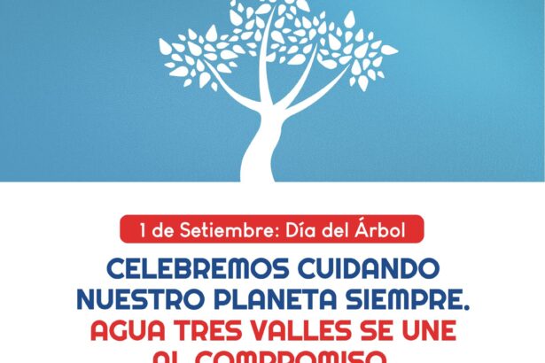 Celebrando el Día mundial del Árbol conservar el planeta.